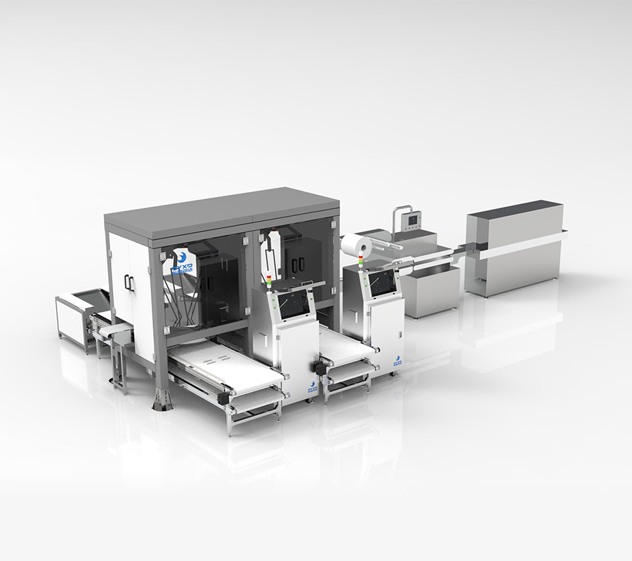 DYXD1909-MT small Mantou 2 × 6 Automatic grabbing equipment